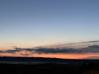 IMG_4574.jpeg