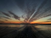 IMG_4583.jpeg