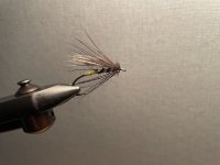 IMG_2392.jpeg