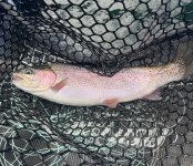 IMG_4892.jpeg