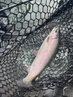 IMG_4889.jpeg