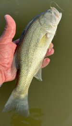 IMG_2386.jpeg IMG_2386.jpeg