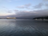 IMG_4389.jpeg