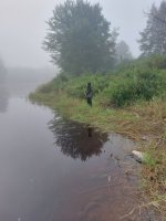 20230903_075425.jpg 20230903_075425.jpg