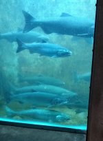 IMG_20230903_102450856.jpg
