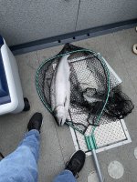 IMG_1540.jpeg