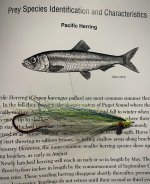 IMG_2179.jpeg