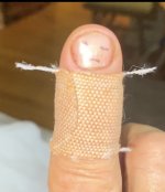 IMG_3862.jpeg