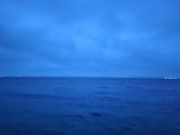 20230904_060450.jpg