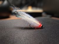 IMG_20230904_114800~2.jpg