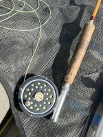 IMG_7575.jpeg