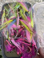 IMG_3199.jpeg IMG_3199.jpeg