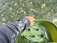 IMG_3198.jpeg IMG_3198.jpeg