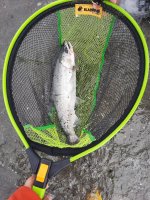 IMG_20230908_153222.jpg
