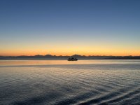 IMG_4708.jpeg