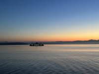 IMG_4703.jpeg