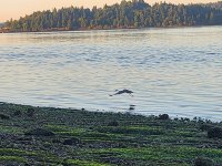 20230909_070936.jpg