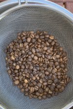 IMG_8852.jpeg