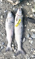 IMG_3226.jpeg