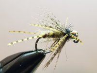 20230910_144829.jpg 20230910_144829.jpg