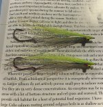 IMG_2260.jpeg IMG_2260.jpeg