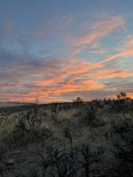 IMG_6332.jpeg
