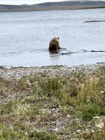 IMG_2894.jpeg
