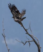 IMG_3421.jpeg