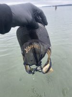 IMG_2265.jpeg