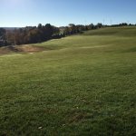 IMG_0055.jpeg