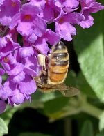 IMG_3907.jpeg