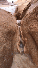 dry-spells-got-me-seeing-things-again-x-photos-7.gif dry-spells-got-me-seeing-things-again-x-photos-7.gif