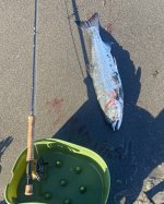 IMG_2277.jpeg IMG_2277.jpeg
