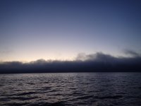 IMG_4741.jpeg IMG_4741.jpeg