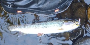 IMG_20230908_173028558.jpg