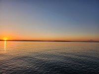 20230915_065518.jpg