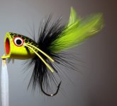 CBC-Bass-Popper_2233.jpg