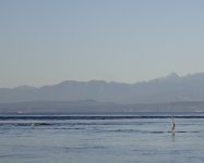 IMG_4762.jpeg