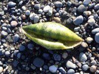 IMG_4763.jpeg
