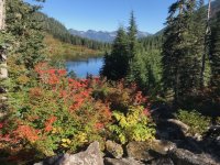 IMG_7163.jpeg