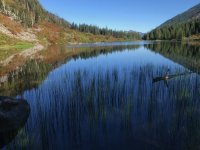 IMG_7165.jpeg