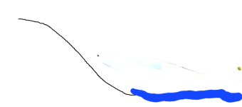 IMG_1579.png