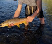 IMG_2976 2.jpeg
