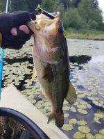 20220131_204047.jpg