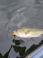 20230911_081953.jpg