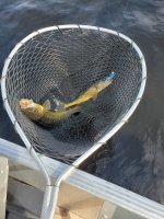 20230810_162819.jpg 20230810_162819.jpg