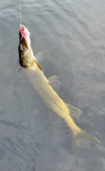 20230808_102011.jpg 20230808_102011.jpg