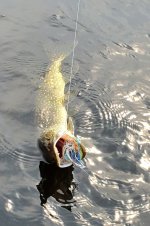 20230808_101124.jpg 20230808_101124.jpg