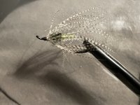 IMG_0355.jpeg
