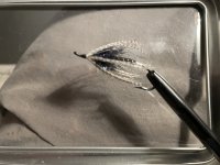 IMG_0353.jpeg